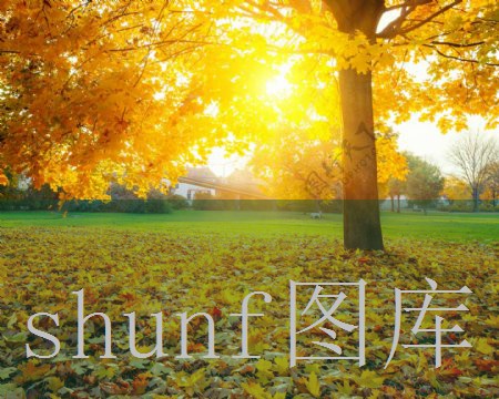 地摊玩具货源怎么找(地摊网货源批发)